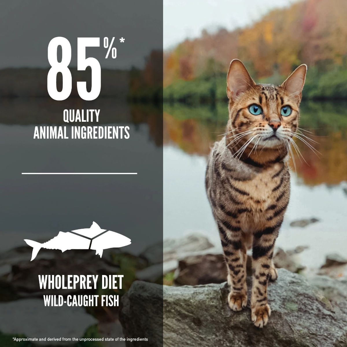 ORIJEN Six Fish, Pește, hrană uscată fără cereale pisici, 5.4kg ORIJEN Six Fish, Pește, hrană uscată fără cereale pisici, 1.8kg